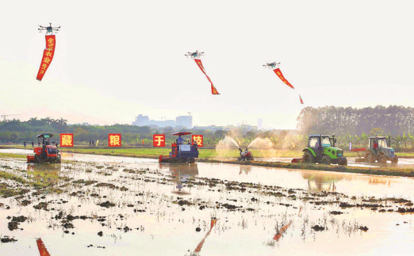 現(xiàn)場會上,農(nóng)機(jī)啟動田間作業(yè)。惠州日報(bào)記者朱金贊 攝