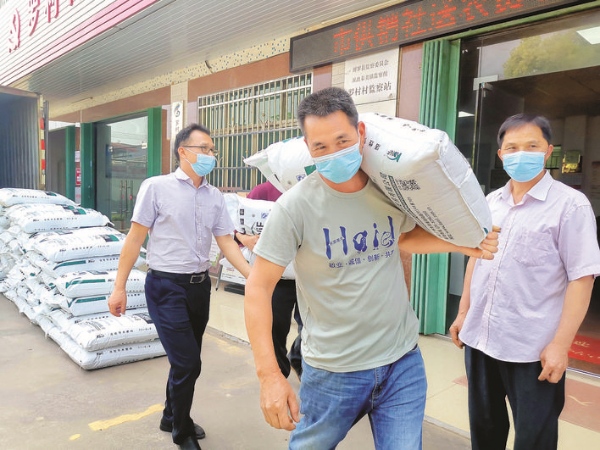 博羅縣泰美鎮(zhèn)羅村村農(nóng)戶免費(fèi)領(lǐng)取肥料。惠州日報(bào)記者方蓮花 攝