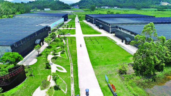     ▲羊和村花卉基地。