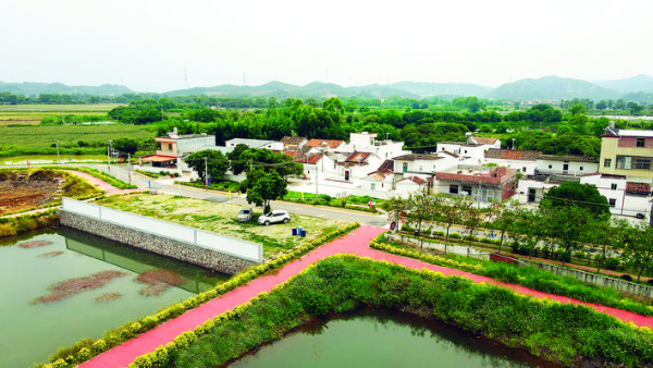     新光村珠江村民小組“一村一品”項目“漁趣村”是潼湖鎮鄉村振興示范帶節點之一。