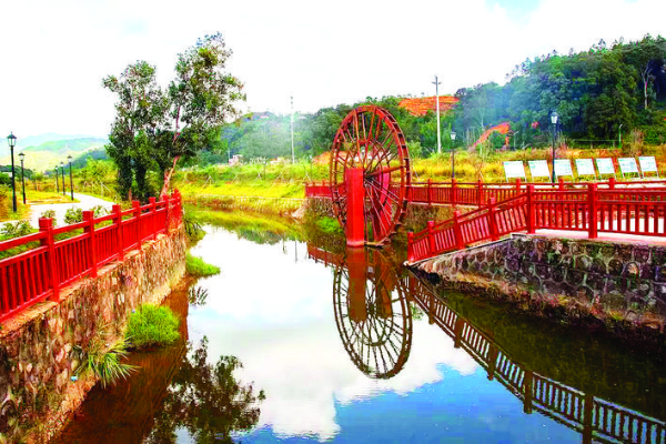     經(jīng)過整治后的西枝江源水系河岸。