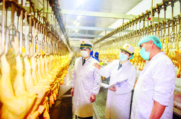     惠州海關關員查驗供港禽類制品生產流程?；葜萑請笥浾邉槦?通訊員張仕榮 攝