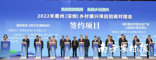 南方農(nóng)村報(bào) 葉香玲 拍攝