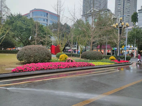 城市花境。銅梁區城市管理局供圖 華龍網發