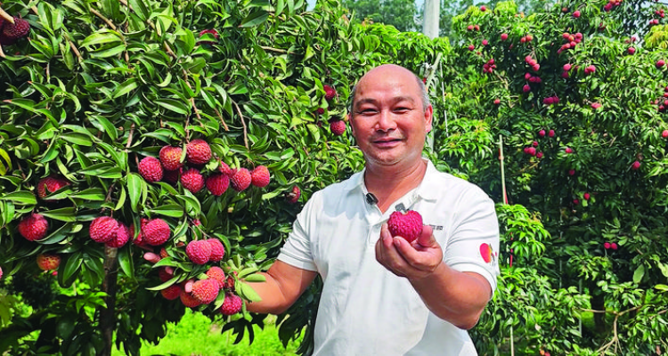 轉(zhuǎn)存圖片