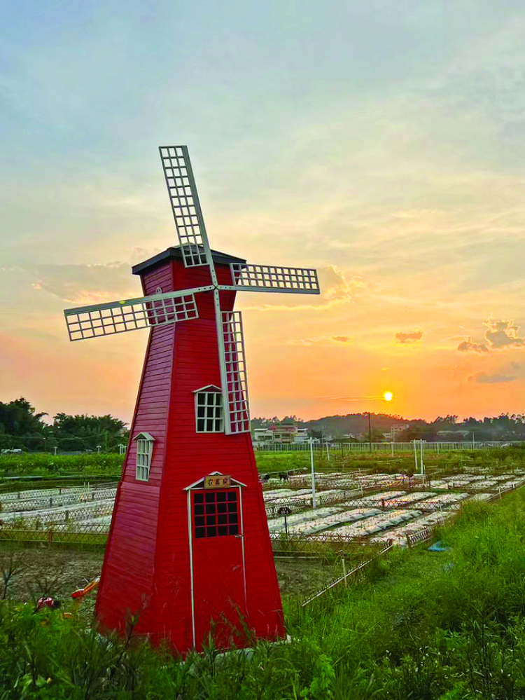 轉(zhuǎn)存圖片